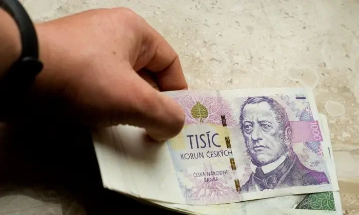 pomuze soukromy investor