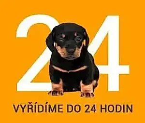 Přátelská nebankovní půjčka FIN Půjčka - maskot společnosti