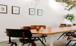 pujcka pro s.r.o. 250 000,-Kč